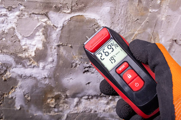 Best Water Damage Restoration  in Lorenzo, TX