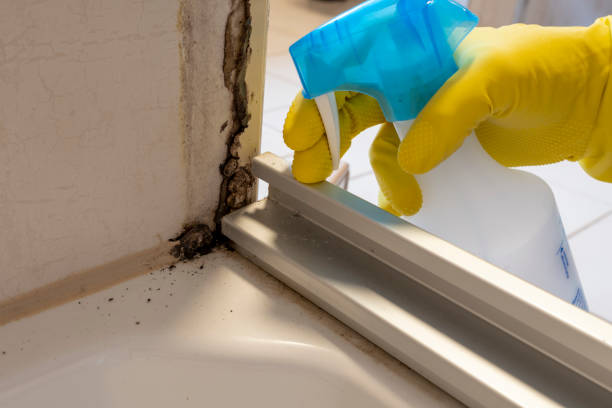 Best Mold Removal Process  in Lorenzo, TX