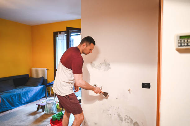 Best Office Mold Removal Services  in Lorenzo, TX