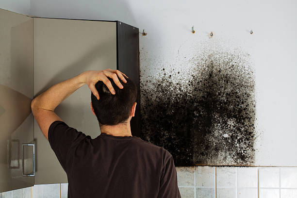 Best Commercial Mold Removal  in Lorenzo, TX